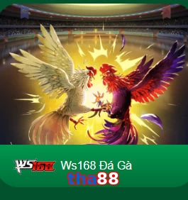 tha88